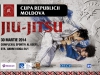 poster-cup-jiu-jitsu_web_updated