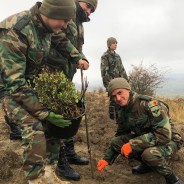Academia Militară s-a alăturat campaniei naționale de înverzire ,,Generația Pădurii”