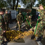 Academia Militară a participat la Ziua Naţională de Înverzire a Plaiului