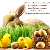 Greeting message of the commander (rector) Military Academy “Alexandru cel Bun” on the occasion of Easter holiday